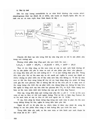 Hóa sinh công nghiệp
