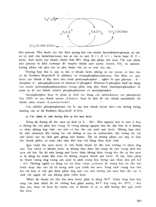 Hóa sinh công nghiệp