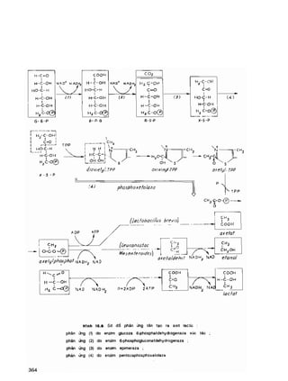 Hóa sinh công nghiệp