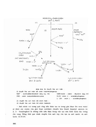 Hóa sinh công nghiệp