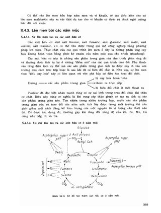 Hóa sinh công nghiệp