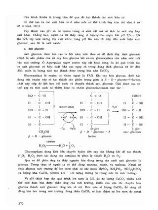 Hóa sinh công nghiệp