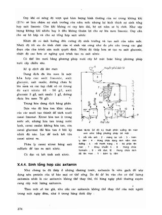 Hóa sinh công nghiệp