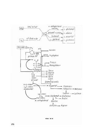 Hóa sinh công nghiệp