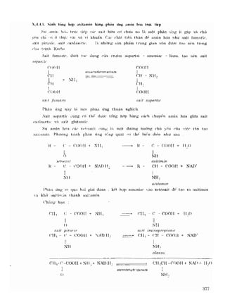 Hóa sinh công nghiệp