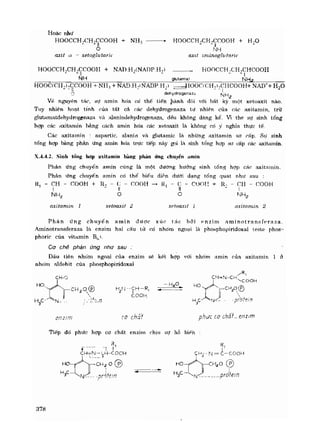 Hóa sinh công nghiệp