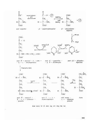 Hóa sinh công nghiệp