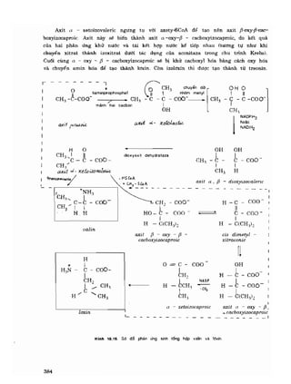 Hóa sinh công nghiệp