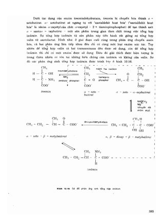 Hóa sinh công nghiệp