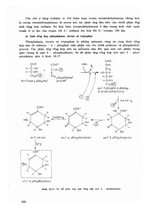 Hóa sinh công nghiệp