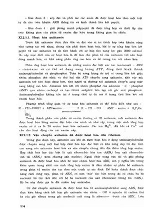 Hóa sinh công nghiệp