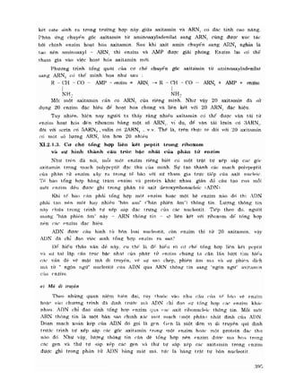 Hóa sinh công nghiệp