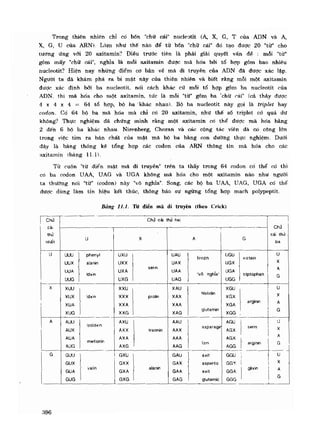 Hóa sinh công nghiệp