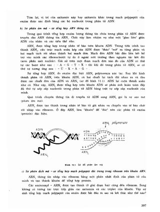 Hóa sinh công nghiệp