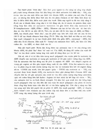 Hóa sinh công nghiệp