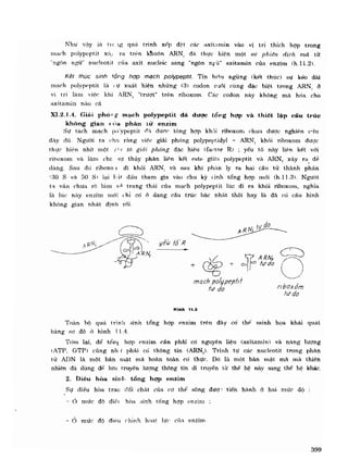 Hóa sinh công nghiệp