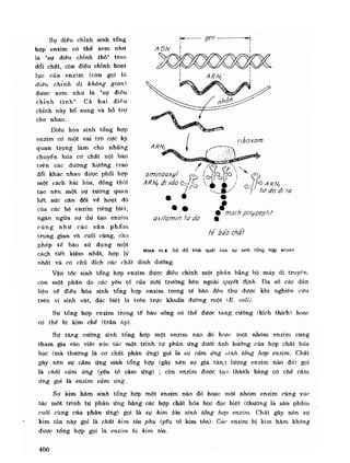 Hóa sinh công nghiệp