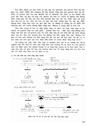 Hóa sinh công nghiệp