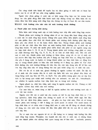 Hóa sinh công nghiệp