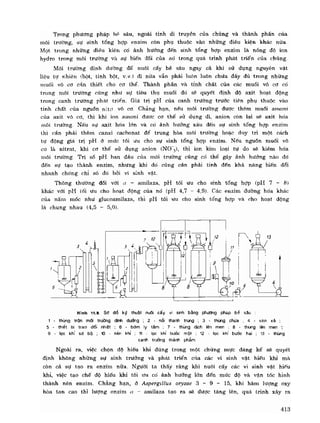 Hóa sinh công nghiệp