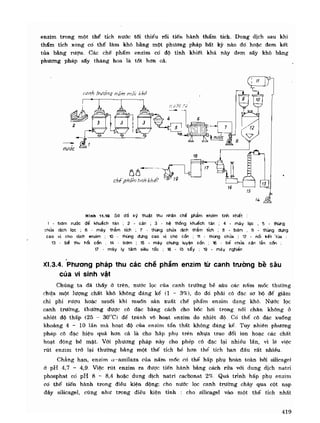 Hóa sinh công nghiệp