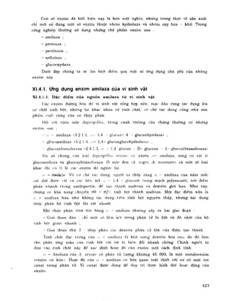 Hóa sinh công nghiệp