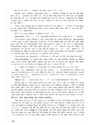 Hóa sinh công nghiệp