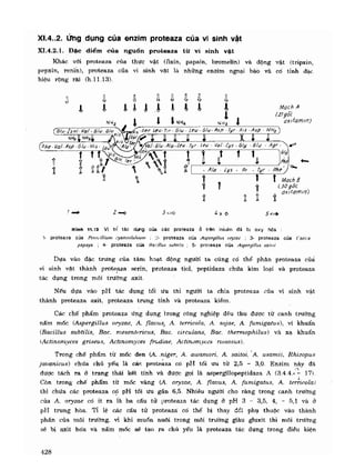 Hóa sinh công nghiệp