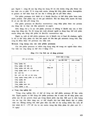 Hóa sinh công nghiệp