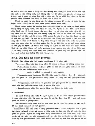 Hóa sinh công nghiệp