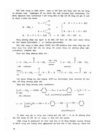 Hóa sinh công nghiệp