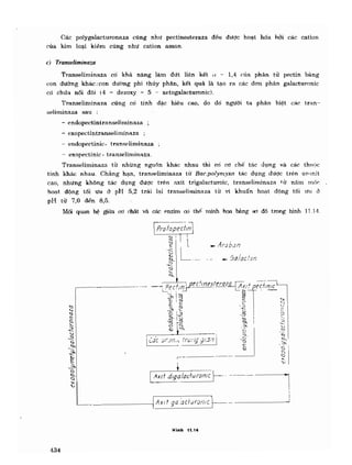 Hóa sinh công nghiệp