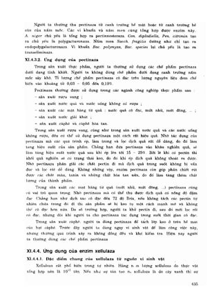 Hóa sinh công nghiệp