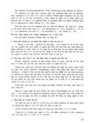 Hóa sinh công nghiệp