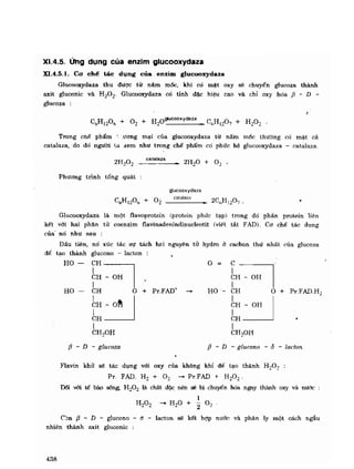 Hóa sinh công nghiệp