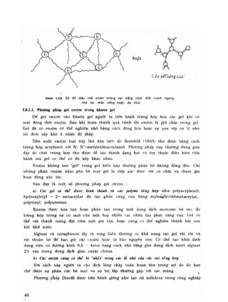 Hóa sinh công nghiệp