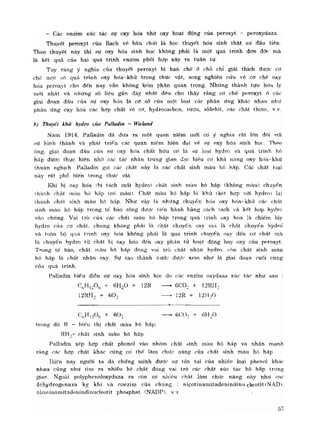 Hóa sinh công nghiệp