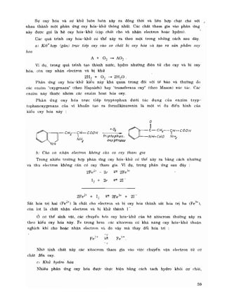 Hóa sinh công nghiệp