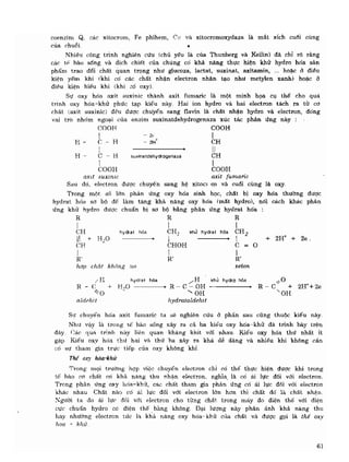 Hóa sinh công nghiệp