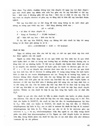 Hóa sinh công nghiệp