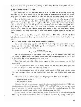 Hóa sinh công nghiệp