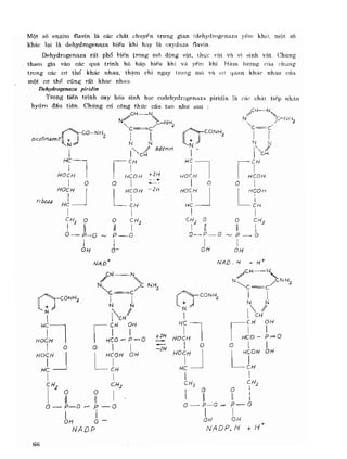 Hóa sinh công nghiệp