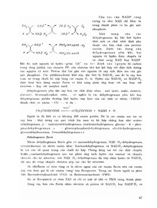 Hóa sinh công nghiệp