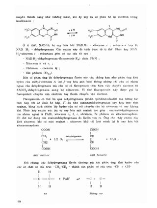 Hóa sinh công nghiệp