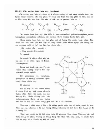 Hóa sinh công nghiệp