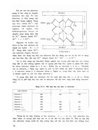 Hóa sinh công nghiệp