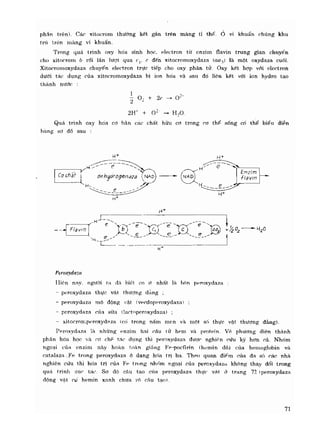 Hóa sinh công nghiệp