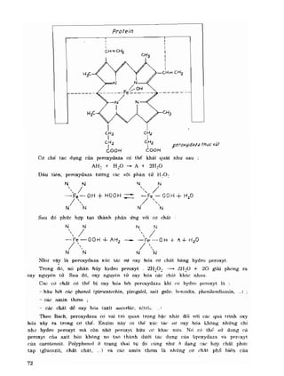 Hóa sinh công nghiệp