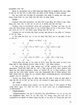 Hóa sinh công nghiệp