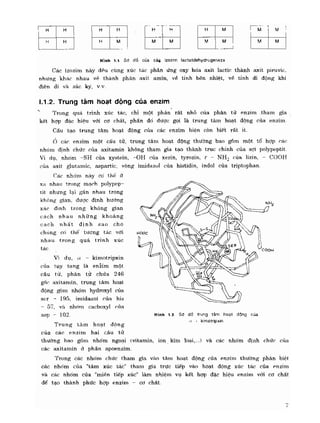 Hóa sinh công nghiệp